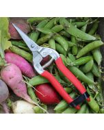 Harvesting Shears