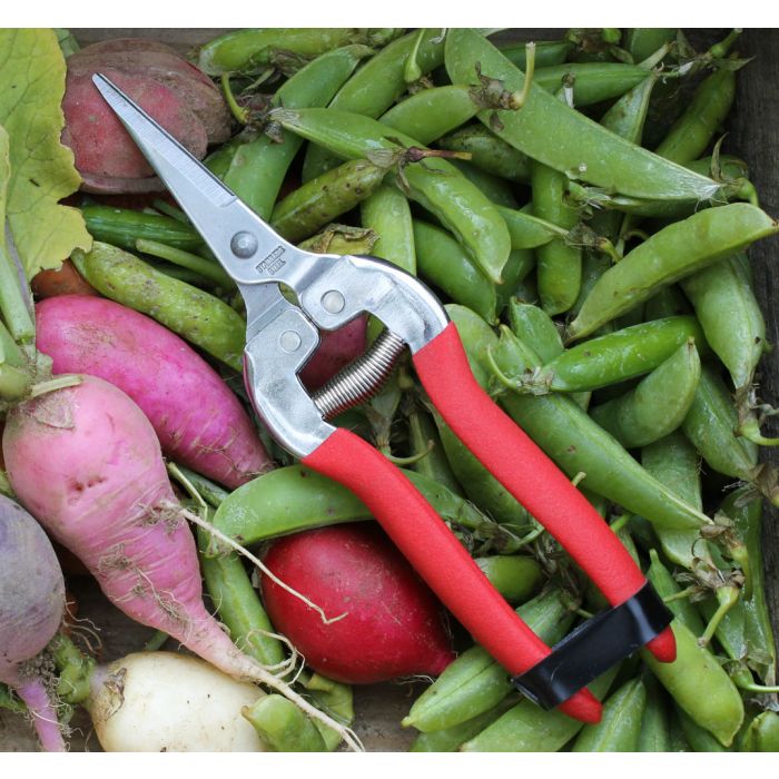 Harvesting Shears