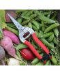 Harvesting Shears